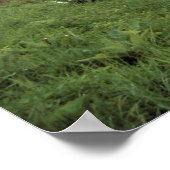 魔法粉のtouch ポスター (角)