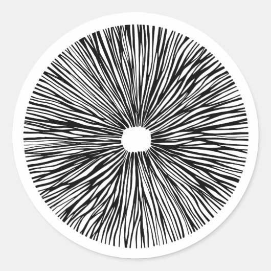 魔法胞子 ラウンドシール (正面)