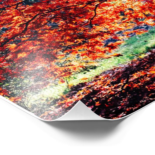 魔法色 フォトプリント            (角)