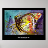 魔法蝶2 ポスター (正面)