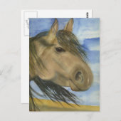 魔法・アン・アメリカン・マスタング ポストカード (正面/裏面)