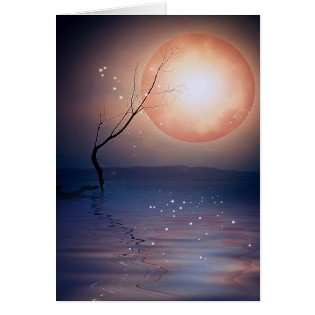 魔法moon.png (正面)