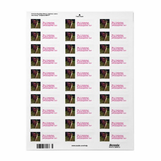 魔術師 ラベル (フルシート)