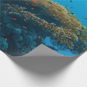 魚かわいらしとサンゴ ラッピングペーパー (角)