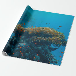 魚かわいらしとサンゴ ラッピングペーパー