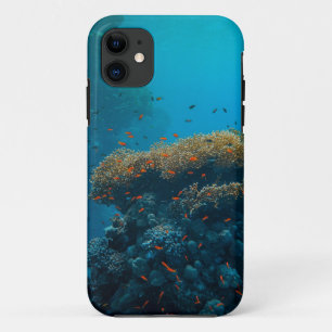 魚かわいらしとサンゴ iPhone 11 ケース