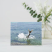 魚が海に飛び込む ポストカード (スタンド正面)