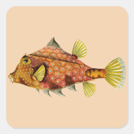 魚が私のステッカスタマイズクを包む スクエアシール (正面)