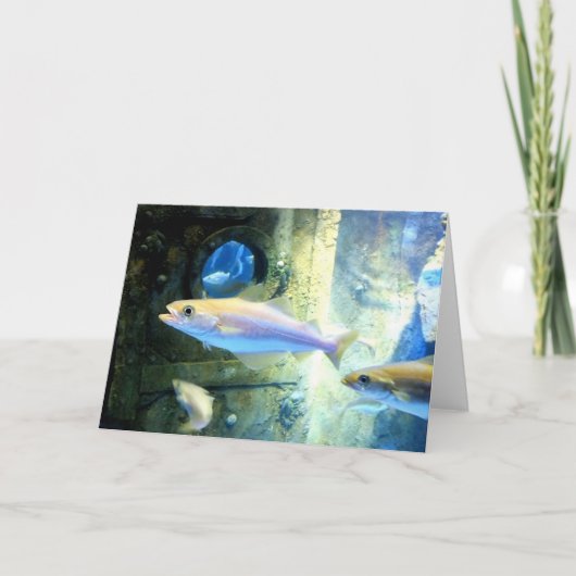 魚とエゾウ シーズンカード (正面)