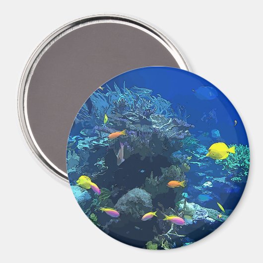 魚とサンゴカラフルの写真マグネットで海を表示 マグネット (正面/裏面)