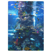 魚とサンゴ礁 クリップボード (裏面)