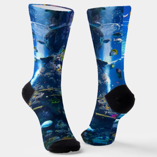 魚とサンゴ礁 ソックス (傾斜あり)