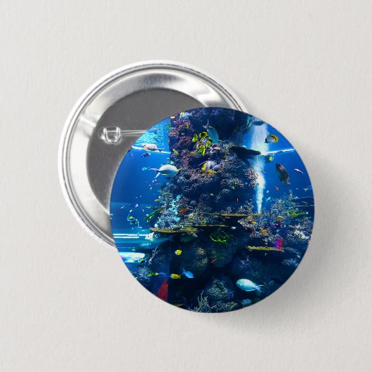 魚とサンゴ礁 缶バッジ (正面&裏面)