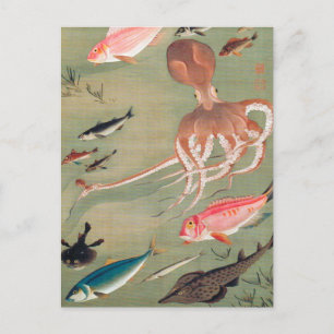 魚とタコ海洋生物イラストレーション ポストカード