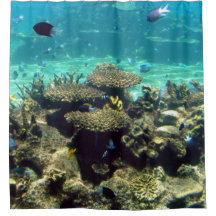 魚と一緒に泳ぐ