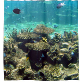 魚と一緒に泳ぐ シャワーカーテン