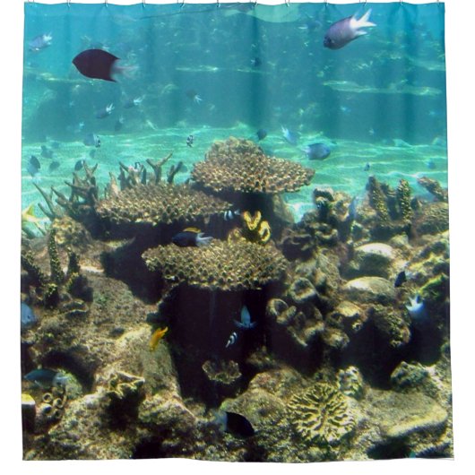 魚と一緒に泳ぐ シャワーカーテン (正面)
