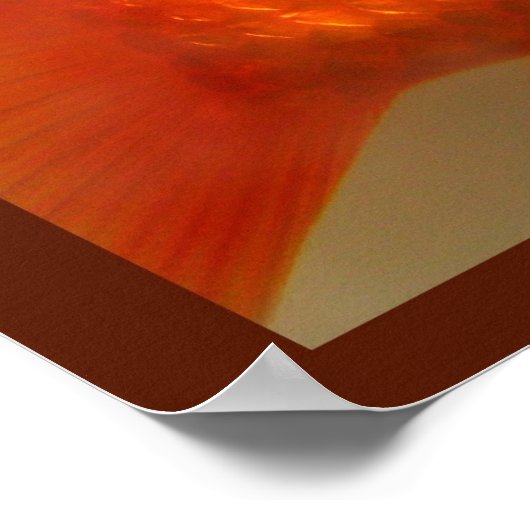 魚と一緒に泳ぐ ポスター (角)