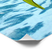 魚と亀のポスタービーチハウスポスター ポスター (コーナー)