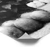 魚と果物： 1936年 ポスター (角)