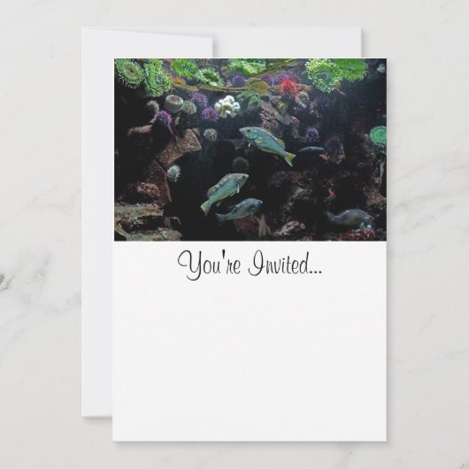 魚と水中水中競技の生活写真 招待状 (正面)