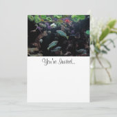 魚と水中水中競技の生活写真 招待状 (スタンド正面)