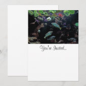 魚と水中水中競技の生活写真 招待状 (正面/裏面)