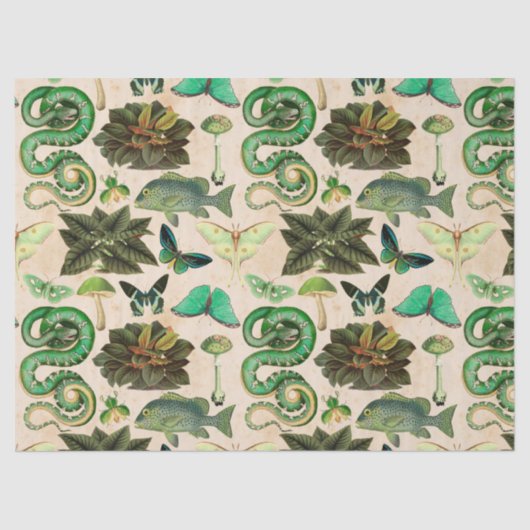 魚と蝶の切り離し 薄葉紙 (正面)