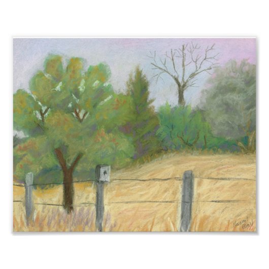 魚と野生動物 フォトプリント            (正面)