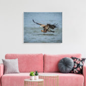 魚のための未熟な禿鷲ダイビング キャンバスプリント (インサイチュ (リビング))