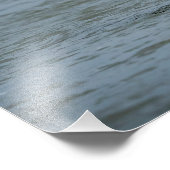 魚のための未熟な禿鷲ダイビング フォトプリント (角)