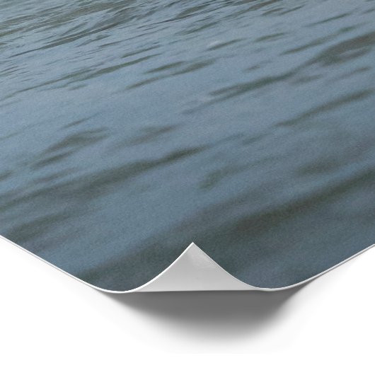 魚のための未熟な禿鷲ダイビング ポスター (角)