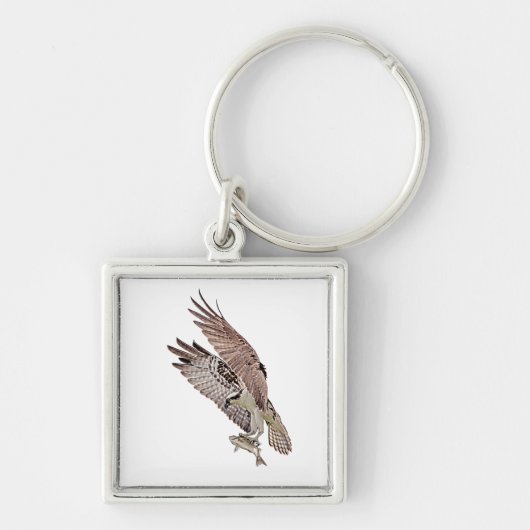 魚のオスプレイ キーホルダー (正面)