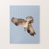 魚のオスプレイ ジグソーパズル (縦)