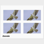 魚のオスプレイ 長方形シール (シート)