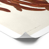 魚のカラス（アウドゥボンポスター） ポスター (角)