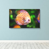 魚のカンバスを広げる キャンバスプリント (インサイチュ (ウッドフロア))