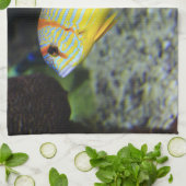 魚のキッチンタオル キッチンタオル (折り畳み)