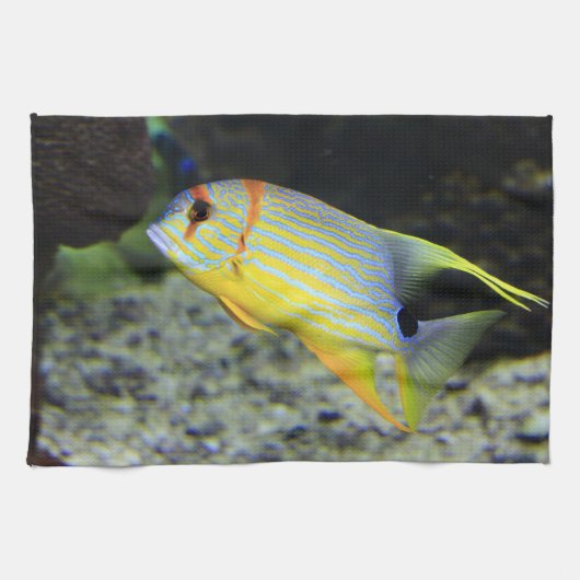 魚のキッチンタオル キッチンタオル (横)