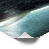 魚のキャンバス フォトプリント            (角)