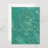 魚のショール水中写真 シーズンポストカード (正面/裏面)