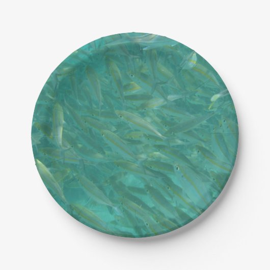 魚のショール水中写真 ペーパープレート (正面)