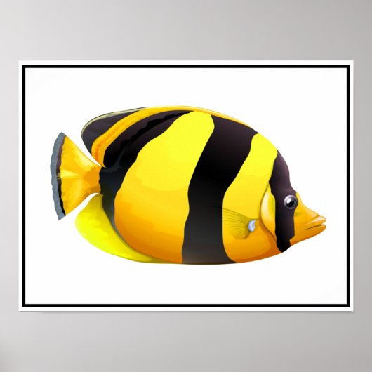 魚のストライプのポスター ポスター (正面)