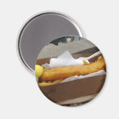 魚のチップ マグネット (正面/裏面)