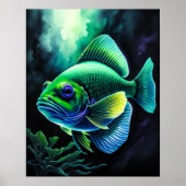 魚のチョークスケッチVII ポスター (正面)