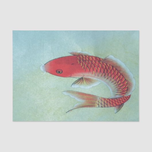 魚のティッシュペーパー 薄葉紙 (正面)