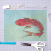 魚のティッシュペーパー 薄葉紙 (クラフト)