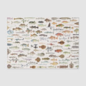 魚のデコパージュペーパー、海洋生物 薄葉紙 (正面)