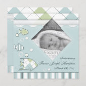 魚のベビーのAnnoucementの熱帯男の子 案内状 (正面/裏面)