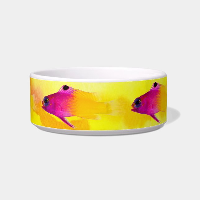 魚のペットボウル ボウル (右)